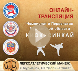 Видеостудия Премьера. Видео трансляция. Трансляция. Онлайн трансляция. Чемпионат по КИОКУСИНКАЙ
